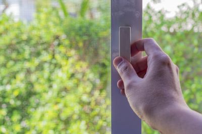 Improve the Aesthetic Appeal of Your Home with a Screen Door!
