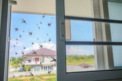 Deter Intruders from Entering Your Home with a Screen Door Replacement!